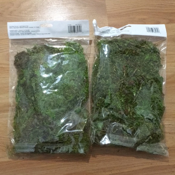 Moss kit, lot of two, Reindeer moss by Ashland - Picture 2 of 2